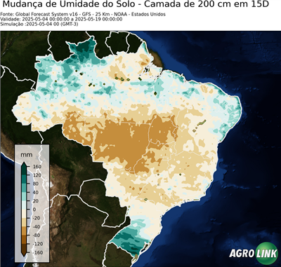 15 dias