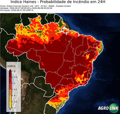 24 horas