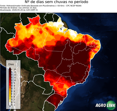 15 dias