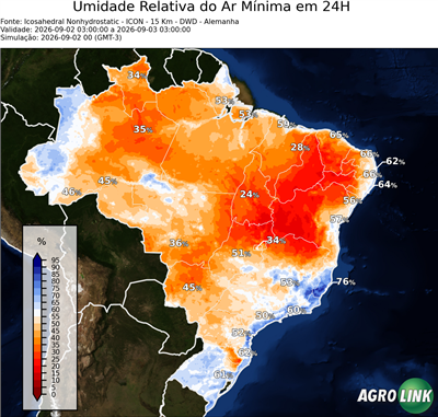 24 horas