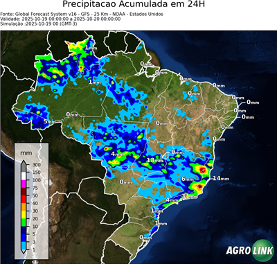 24 horas