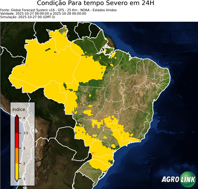 24 horas