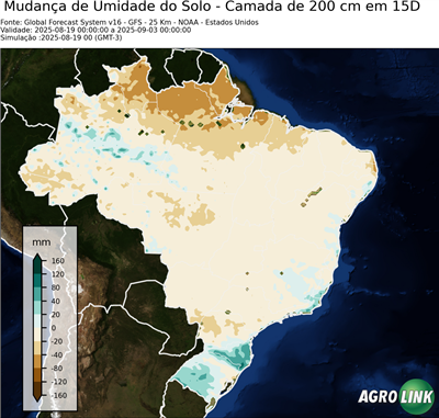 15 dias