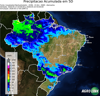 5 dias