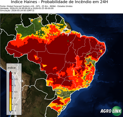 24 horas