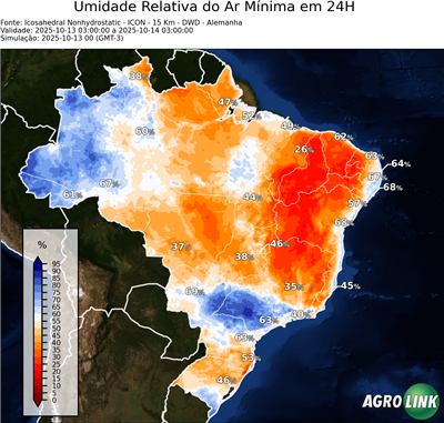 24 horas