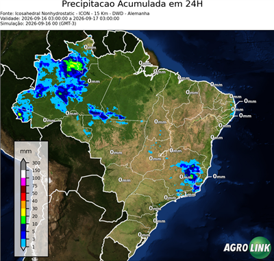 24 horas