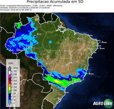5 dias