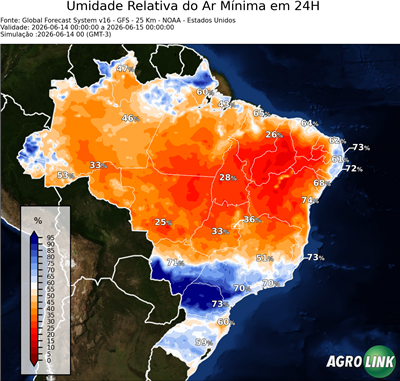 24 horas