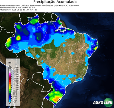 15 dias