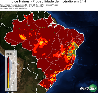 24 horas