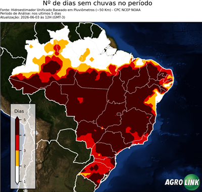 5 dias