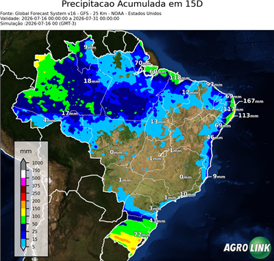 15 dias
