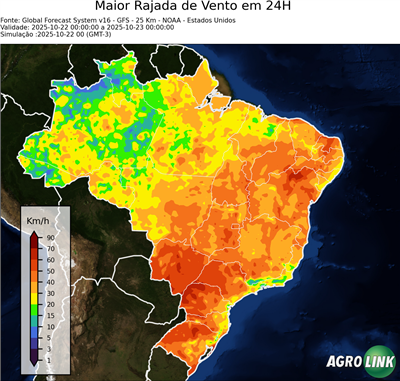 24 horas