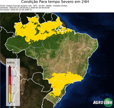 24 horas