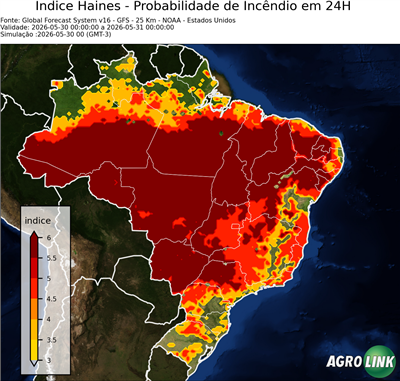24 horas