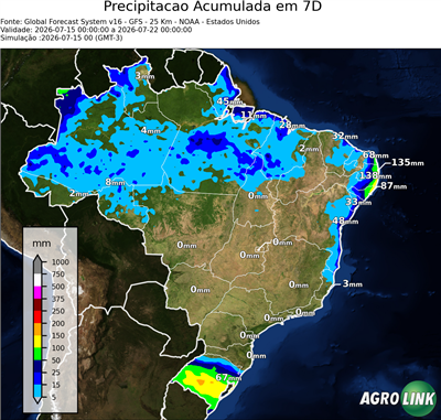 7 dias