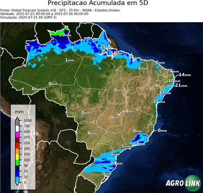 5 dias