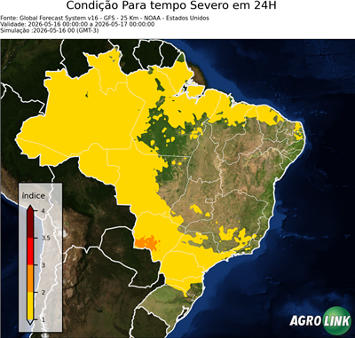 24 horas