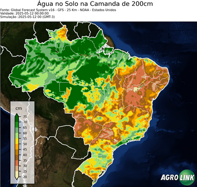 24 horas