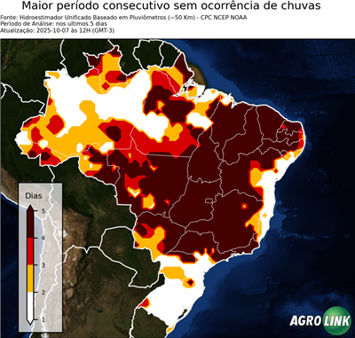 5 dias