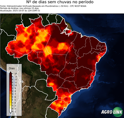 15 dias
