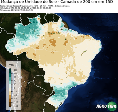 15 dias