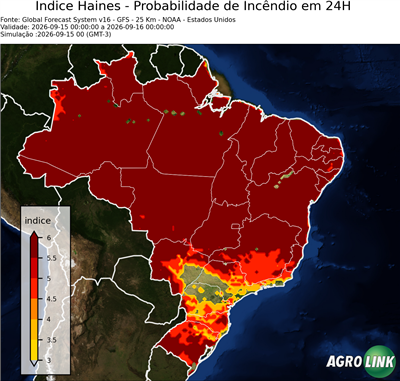 24 horas