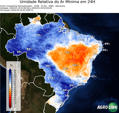 24 horas
