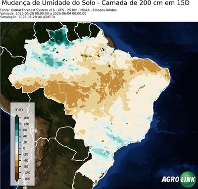 15 dias