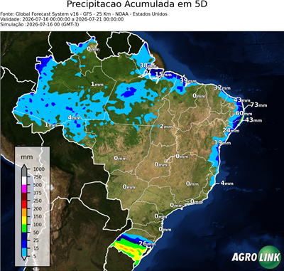 5 dias