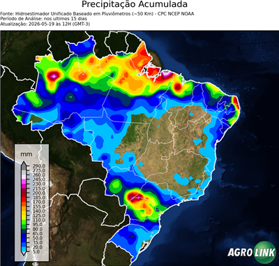 15 dias