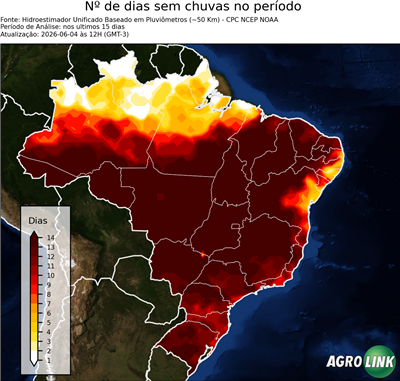15 dias