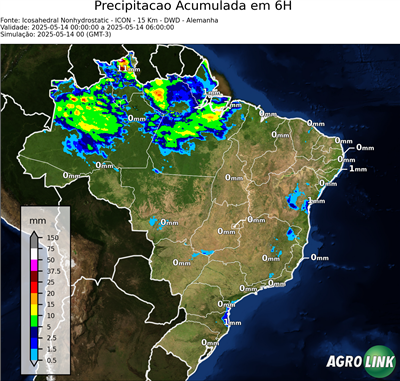 6 horas