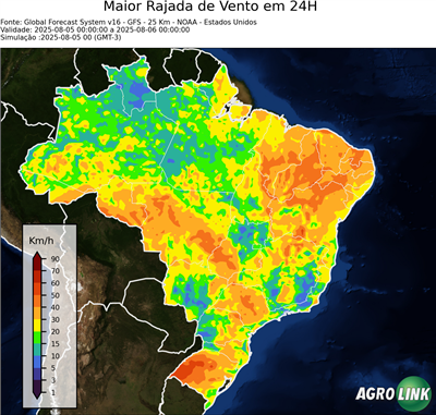 24 horas