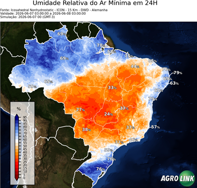 24 horas