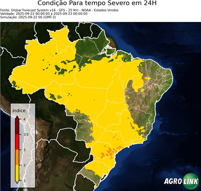 24 horas