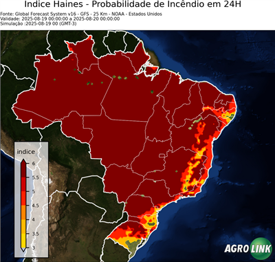 24 horas