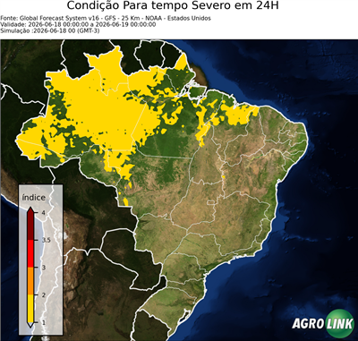 24 horas
