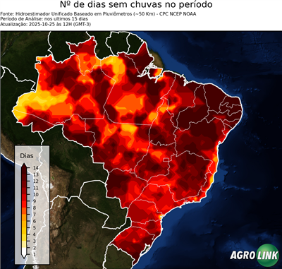 15 dias