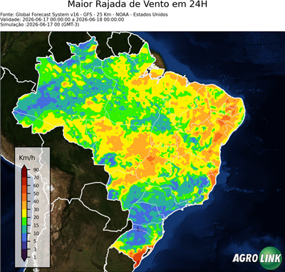 24 horas