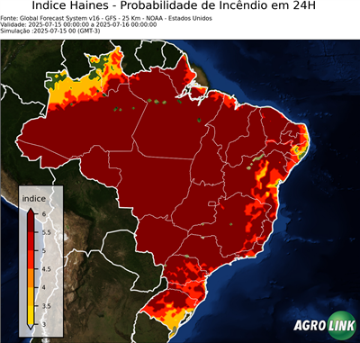 24 horas
