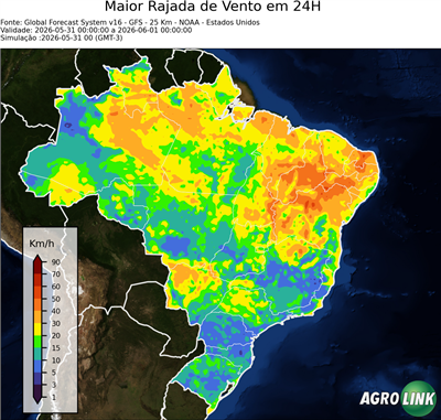 24 horas