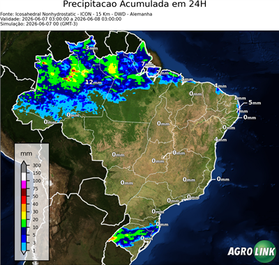 24 horas