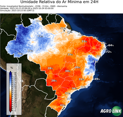 24 horas