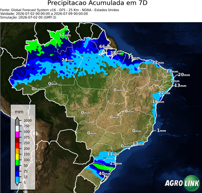7 dias