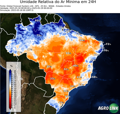 24 horas
