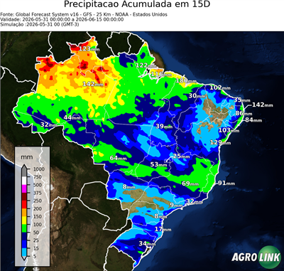 15 dias