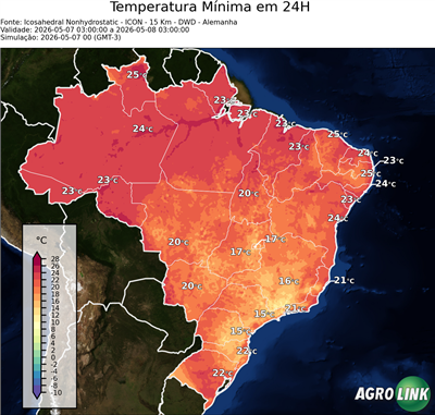 24 horas