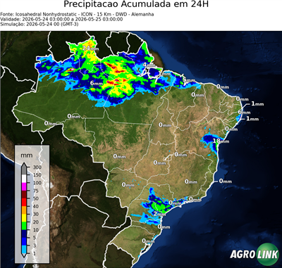 24 horas